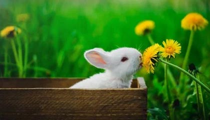 Ac米兰俱乐部官网-世界杯预选赛U23国足出战 数据分析揭示问题，u23世界杯百度百科